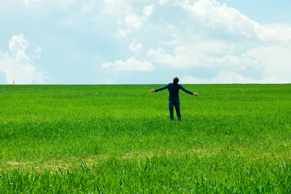 Man in the field — Stock Photo, Image