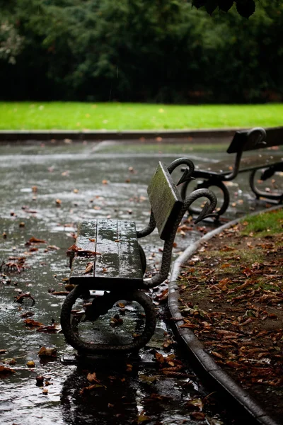 Wet benches in the park — Stock Photo, Image