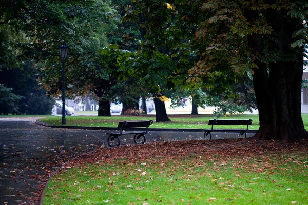 Wet benches in the park — Stock Photo, Image