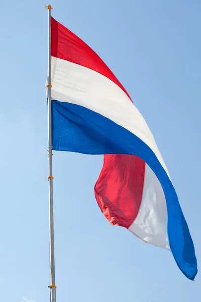 stock image Dutch flag against the blue sky