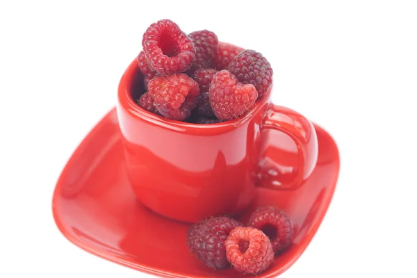 Raspberry, piring dan cangkir diisolasi pada putih — Stok Foto