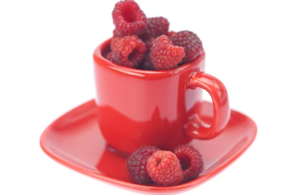 Raspberry, piring dan cangkir diisolasi pada putih — Stok Foto
