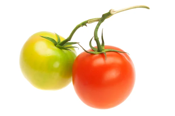 Beyaz üzerinde yeşil ve kırmızı domatesler — Stok fotoğraf