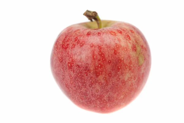 Manzana aislada en blanco —  Fotos de Stock