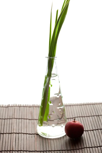 アイリス、花瓶、白で隔離される竹落葉上のリンゴ — ストック写真