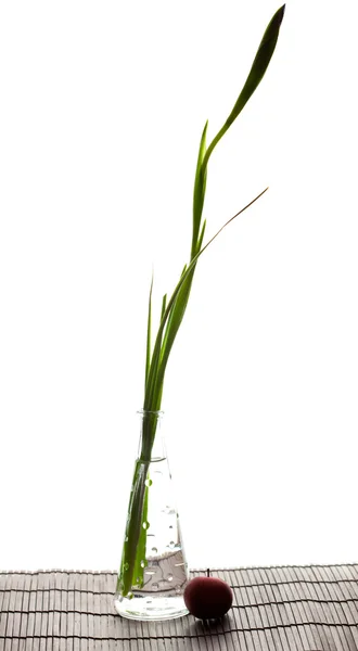 Iris i en vas och ett äpple på en bambu kull isolerad på vit — Stockfoto