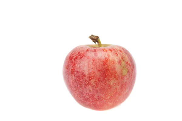 Manzana aislada en blanco — Foto de Stock