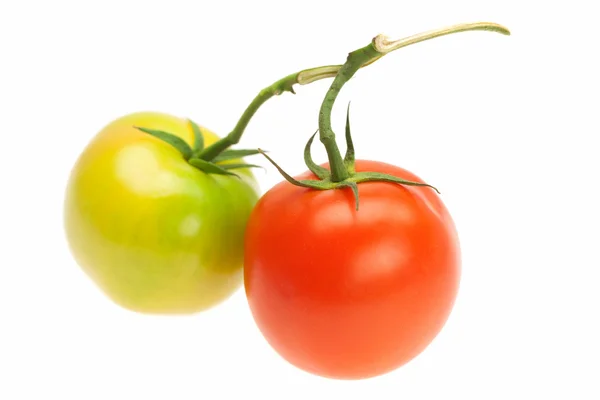 Tomates verdes e vermelhos isolados em branco — Fotografia de Stock