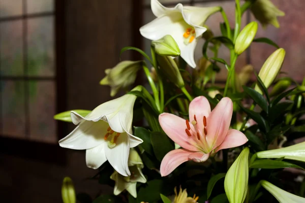 Mooi boeket bloemen in een vaas — Stockfoto