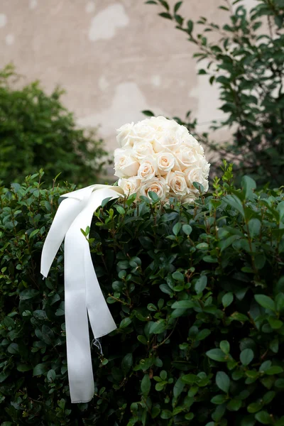 stock image Bridal bouquet on a green bush