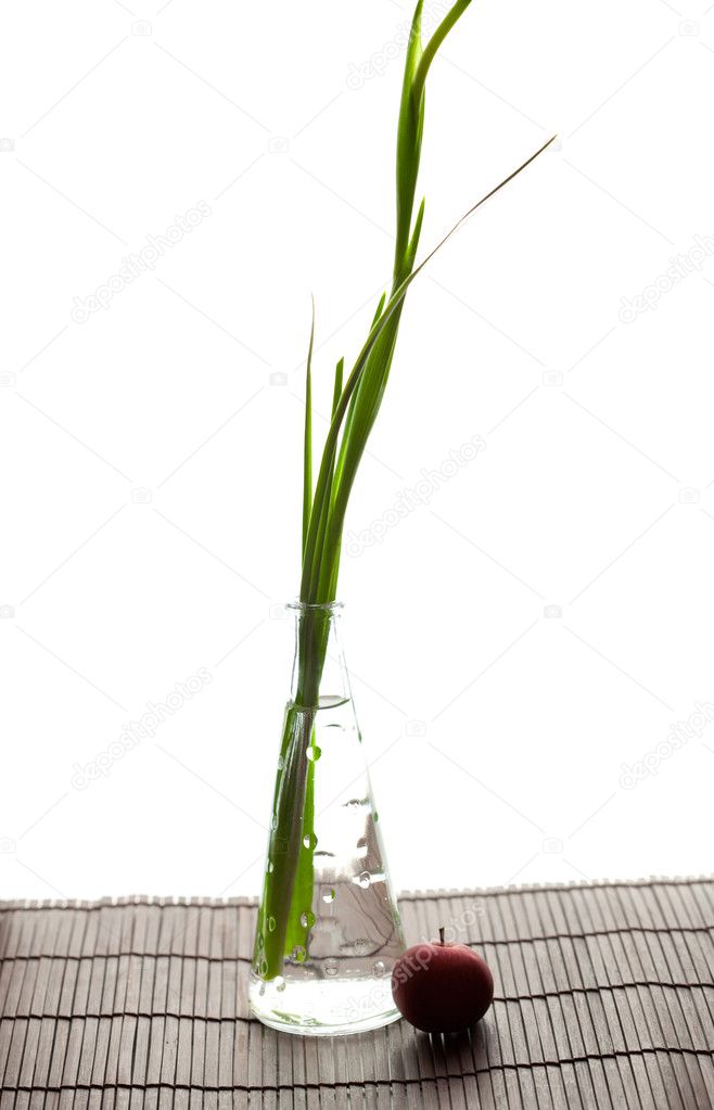 Iris in a vase and an apple on a bamboo litter isolated on white