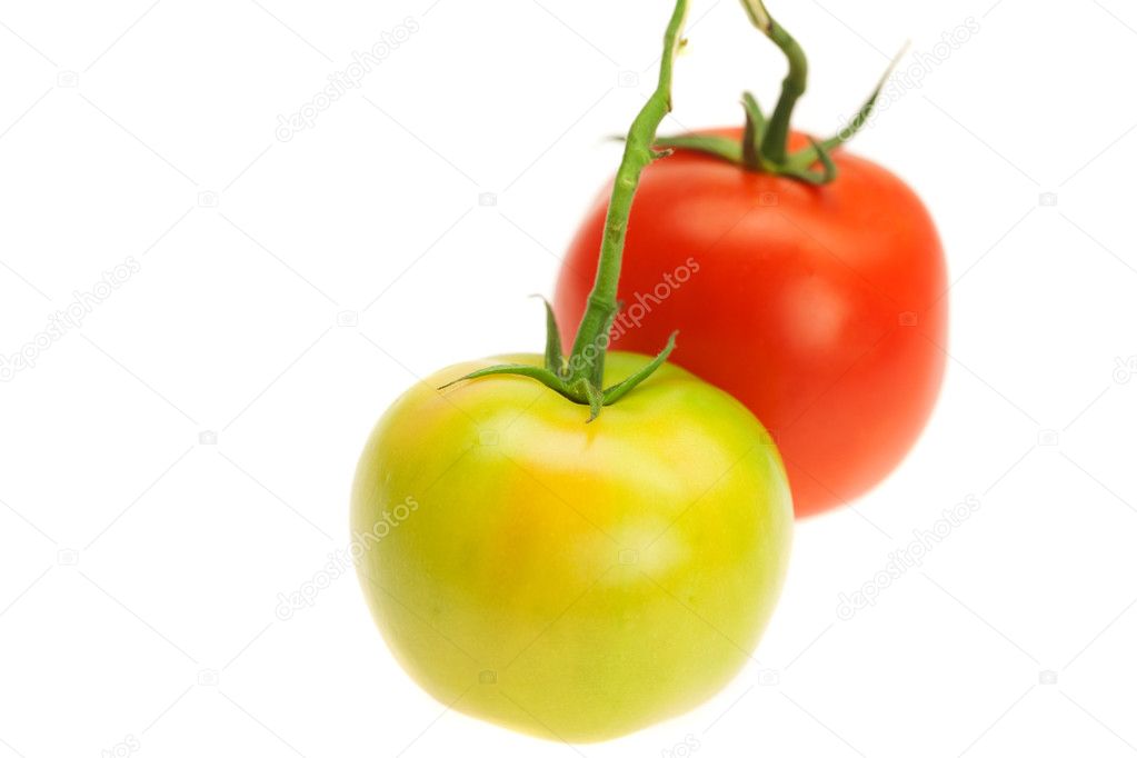 Green and red tomatoes isolated on white