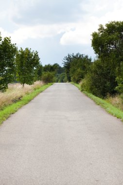 Boş yol ağaçları ile çerçeveli