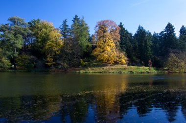 güzel sonbahar manzara renkli ağaçlar ve bir su birikintisi