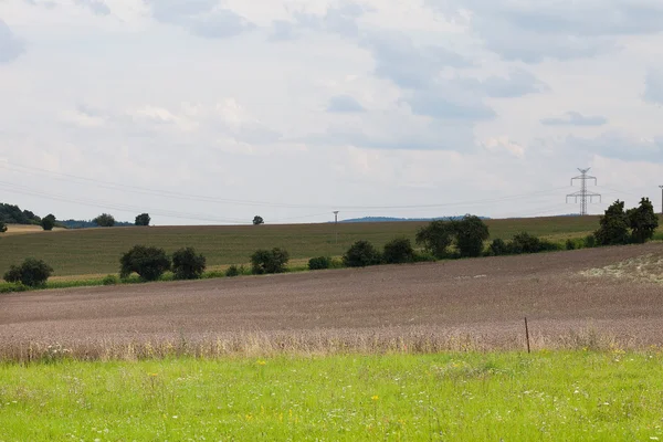Ландшафт зеленых полей и неба — стоковое фото