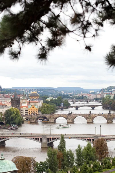 Fondo de los puentes de Praga —  Fotos de Stock