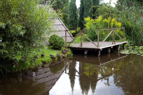 池のアヒルと木製のプラットフォーム — ストック写真