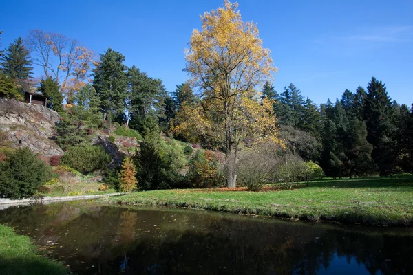 Блакитне небо, осінні дерева і ставок — стокове фото