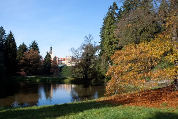 Bois d'automne et un château médiéval en arrière-plan — Photo