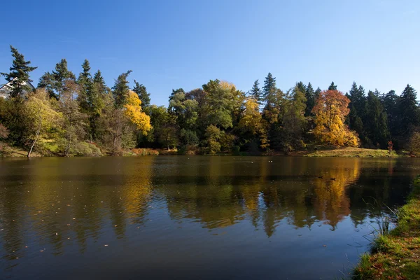 stock image Beautiful autumn landscape with colorful trees and a pond