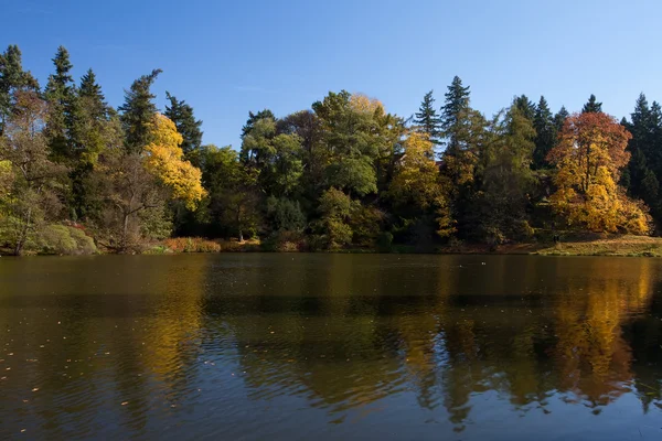 stock image Beautiful autumn landscape with colorful trees and a pond