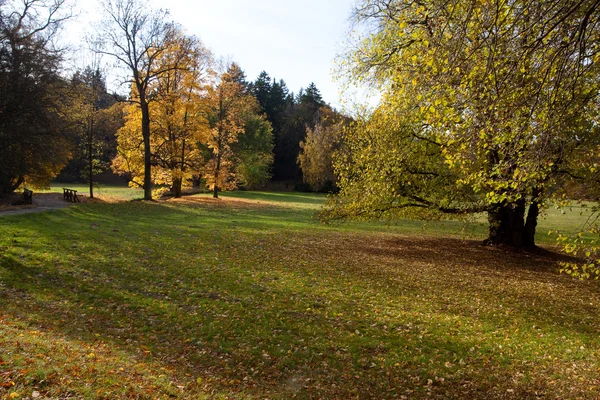 Prado en el bosque de otoño —  Fotos de Stock