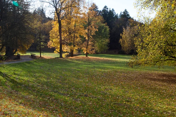 Prado en el bosque de otoño — Foto de Stock