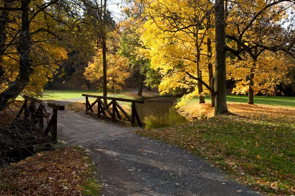 Bach und Brücke im Herbstwald — Stockfoto