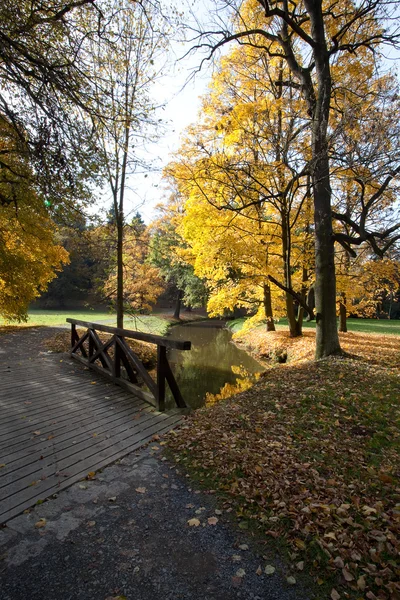 Creek and bridge in the autumn forest — Stock Photo, Image