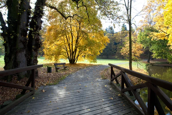 Riacho e ponte na floresta de outono — Fotografia de Stock