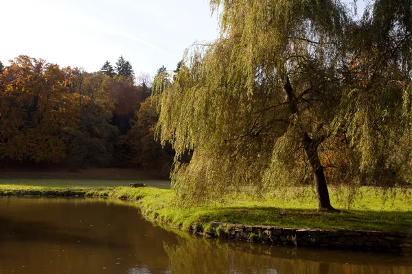 stock image Pond and yellow trees in the autumn forest