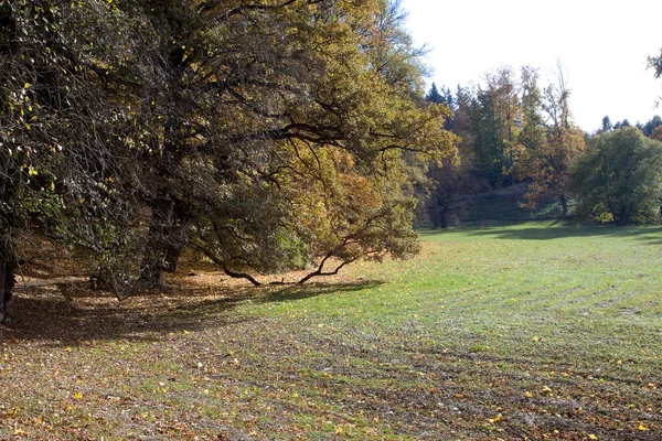 Beautiful autumn landscape — Stock Photo, Image