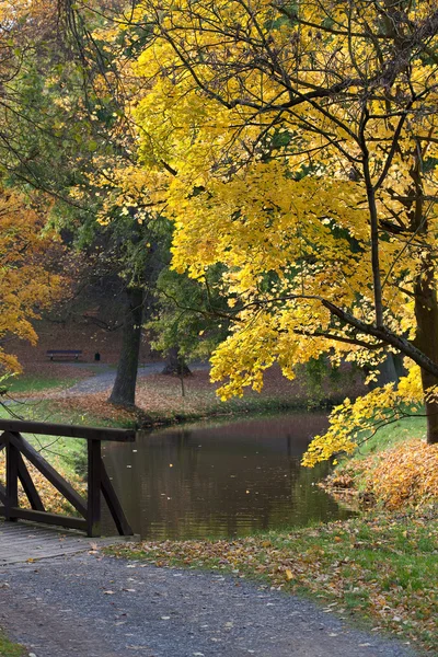 Arroyo y puente en el bosque de otoño — Foto de Stock