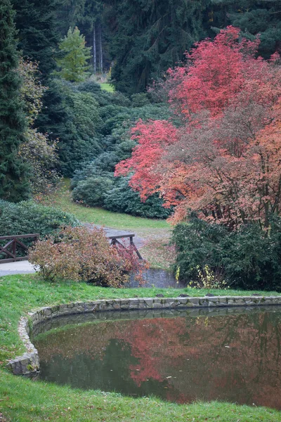 Hermoso paisaje otoñal con árboles coloridos y un estanque —  Fotos de Stock