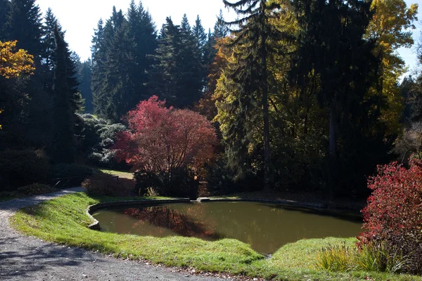 Hermoso paisaje otoñal con árboles coloridos y un estanque —  Fotos de Stock