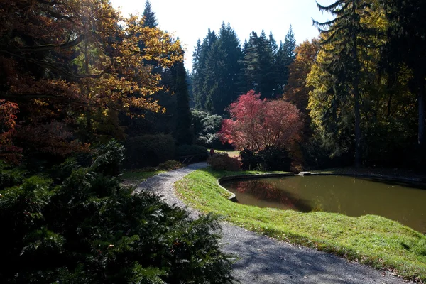 池と木々 の彩りの美しい秋の風景 — ストック写真