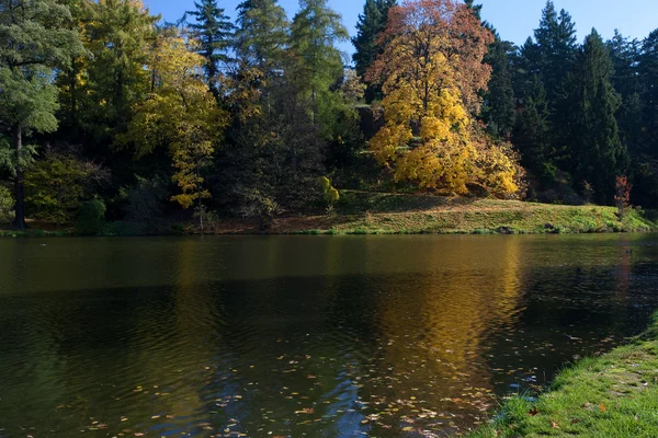 stock image Beautiful autumn landscape with colorful trees and a pond