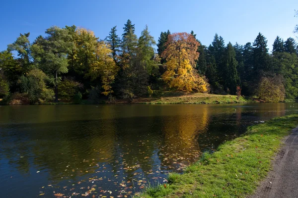 Mooie herfst landschap met kleurrijke bomen en een vijver — Stockfoto