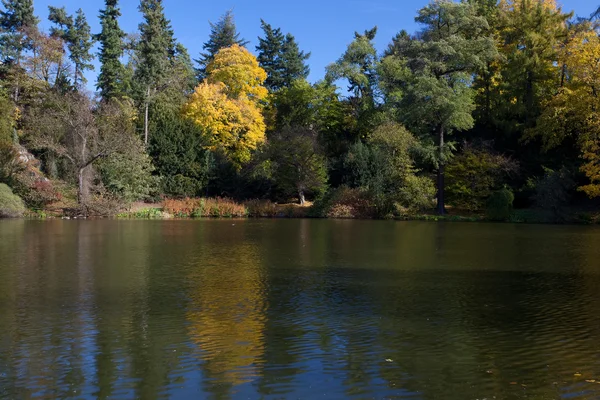 Schöne Herbstlandschaft mit bunten Bäumen und einem Teich — Stockfoto