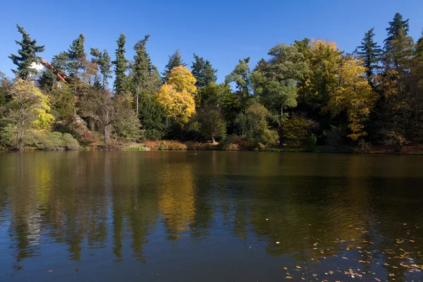 Beau paysage d'automne avec des arbres colorés et un étang — Photo