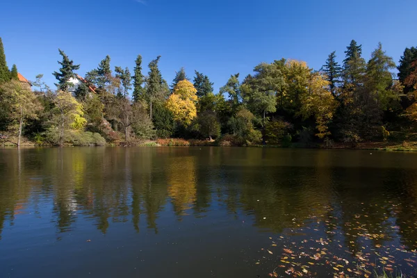 Güzel sonbahar manzara renkli ağaçlar ve bir su birikintisi — Stok fotoğraf