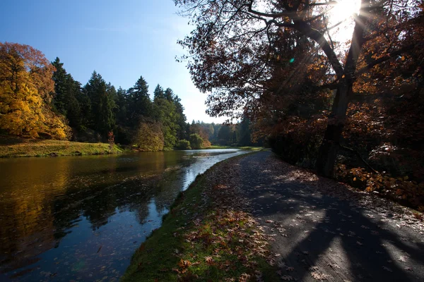 stock image Beautiful autumn landscape with colorful trees and a pond