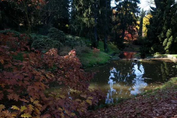 Krásné podzimní krajina s barevné stromy a jezírkem — Stock fotografie
