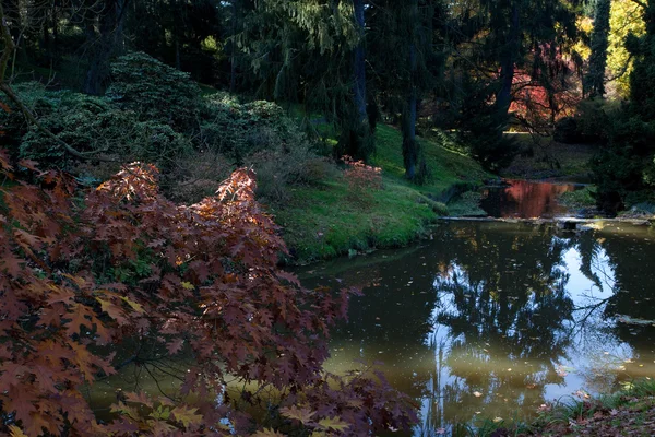 Красивий осінній пейзаж з різнокольоровими деревами і ставком — стокове фото