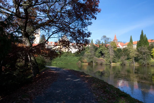 Güzel sonbahar manzara renkli ağaçlar, bir gölet ve med — Stok fotoğraf