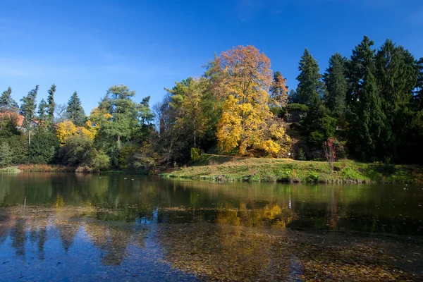 Όμορφο φθινόπωρο τοπίο με πολύχρωμο δέντρα και μια λιμνούλα — Φωτογραφία Αρχείου