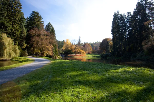 Piękny krajobraz jesień kolorowy drzewami i stawem — Zdjęcie stockowe