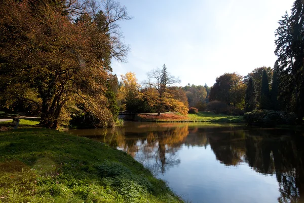 Красивий осінній пейзаж з різнокольоровими деревами і ставком — стокове фото