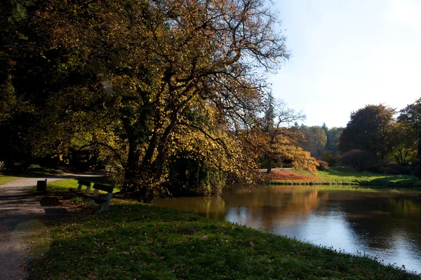 stock image Beautiful autumn landscape with colorful trees and a pond