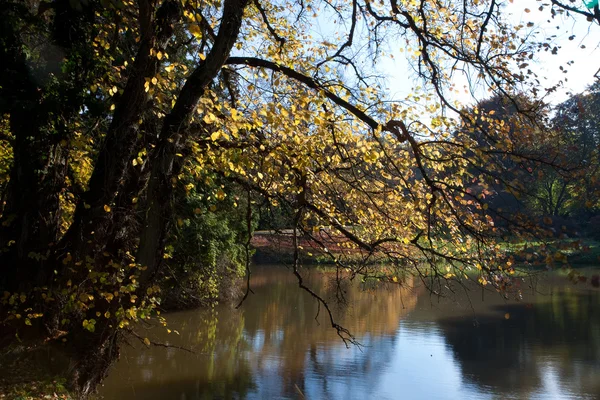 Szép őszi táj színes fák és egy tó — Stock Fotó